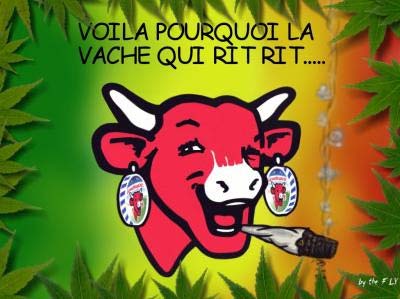 Description à mettre