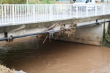 Fréjus, RD8 vers le "Pont de Pierres" (qui est en fer), le lundi 1 novembre 2010