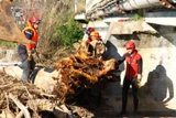 Les pompiers enlevent les embâcles coincées sous le pont de la RD559 (Ex-RN98)