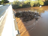 sous le pont de la RD559 (ex-RN98)