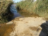 A l'embouchure de l'Argens, entre St Aygulf et Frjus